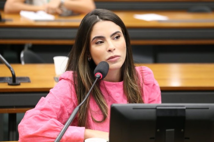 A deputada Yandra Moura recomendou a aprovação com mudanças no texto original - (Foto: Billy Boss/Câmara dos Deputados)