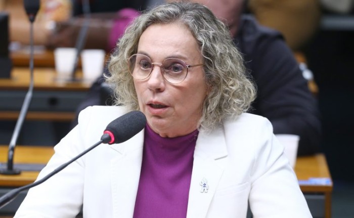 Ana Paula Lima recomendou a aprovação da proposta - (Foto: Vinicius Loures / Câmara dos Deputados)