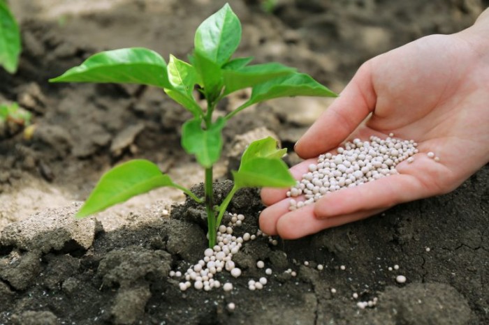 Brasil exporta mais de 80% dos insumos utilizado na agricultura - (Foto: Depositphotos)