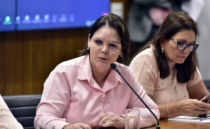 Segundo Coronel Fernanda, parte da área demarcada não atende legislação - (Foto: Zeca Ribeiro/Câmara dos Deputados)