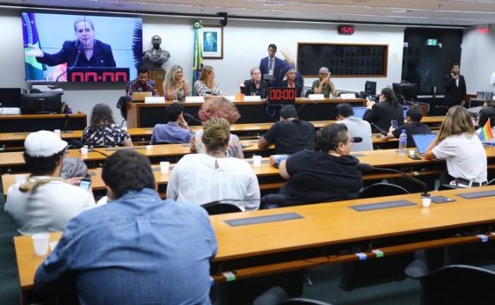 O seminário foi organizado por cinco comissões da Câmara - (Foto: Vinicius Loures/Câmara dos Deputados)