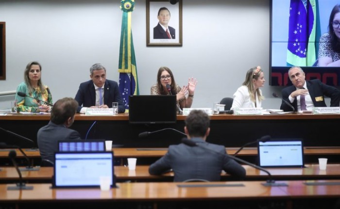 Parlamentares acusam Sleeping Giants de violar direitos previstos na Constituição - (Foto: Bruno Spada/Câmara dos Deputados)