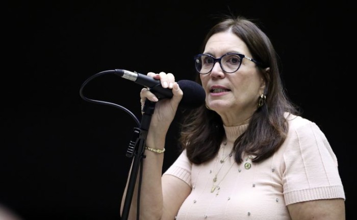 Bia Kicis recomendou a aprovação do projeto - (Foto: Bruno Spada/Câmara dos Deputados)