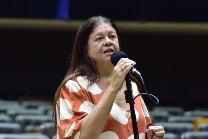 A autora da proposta, deputada Laura Carneiro - (Foto: Zeca Ribeiro / Câmara dos Deputados)