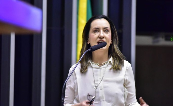 Zeca Ribeiro / Câmara dos Deputados