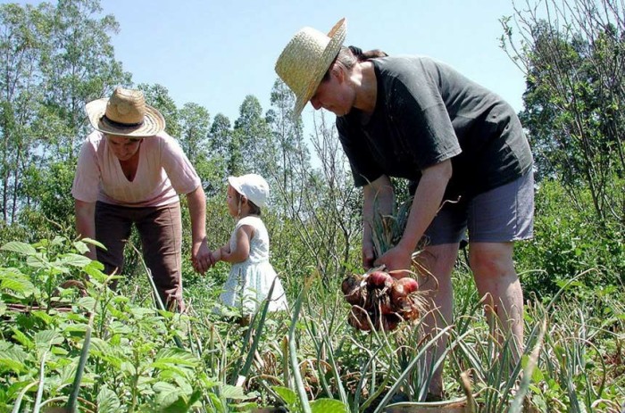 O PAA fornece produtos às redes de segurança alimentar, de assistência social e escolas públicas - Foto: Sindicato dos Produtores Rurais de Uberaba (SRU)