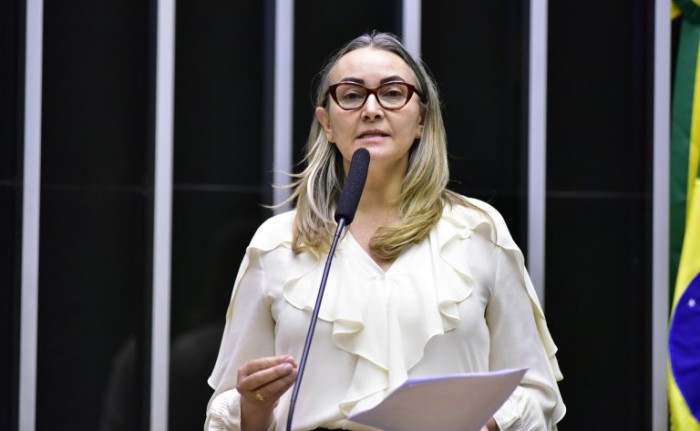 Zeca Ribeiro/Câmara dos Deputados