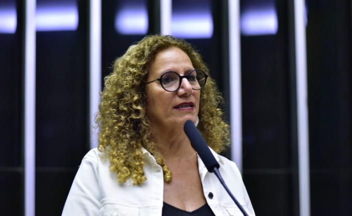Zeca Ribeiro / Câmara dos Deputados