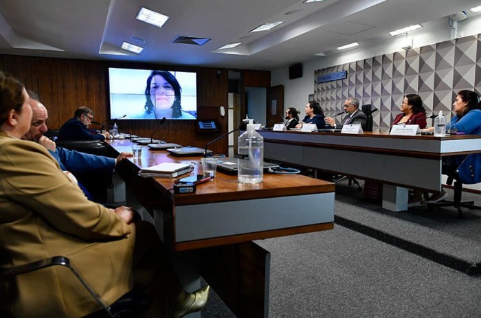 Sessão da CDH foi presidida pelo senador Paulo Paim - Foto: Geraldo Magela/Agência Senado