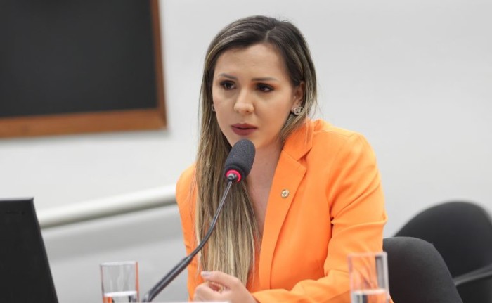 Marina Ramos / Câmara dos Deputados