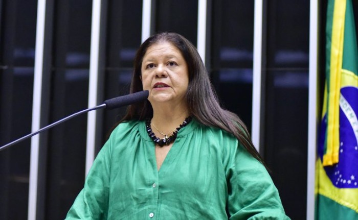 Zeca Ribeiro/Câmara dos Deputados