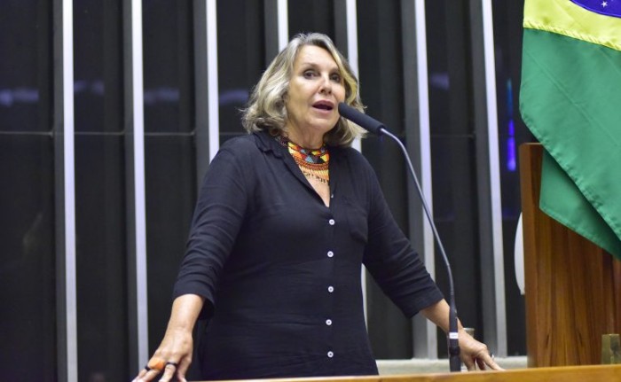 Zeca Ribeiro / Câmara dos Deputados