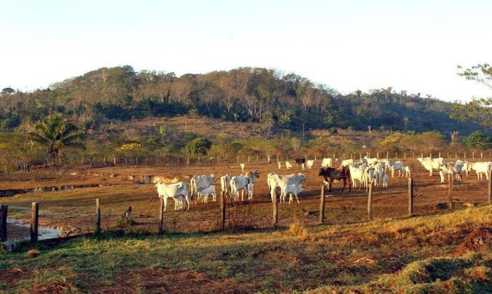 © Marcello Casal jr/Agência Brasil