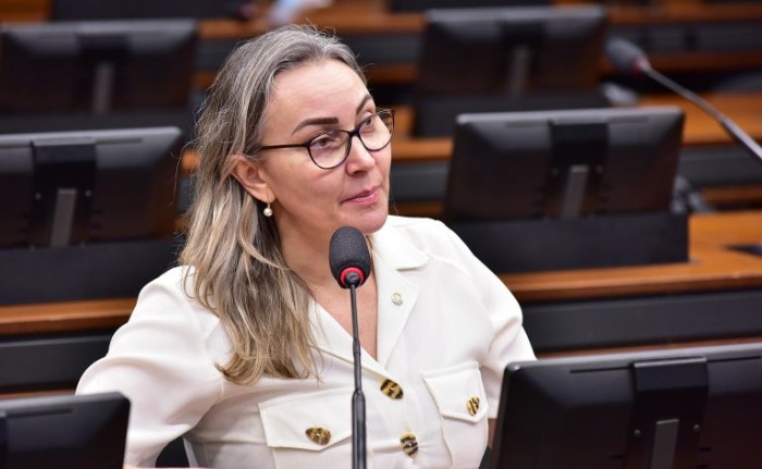Zeca Ribeiro/Câmara dos Deputados